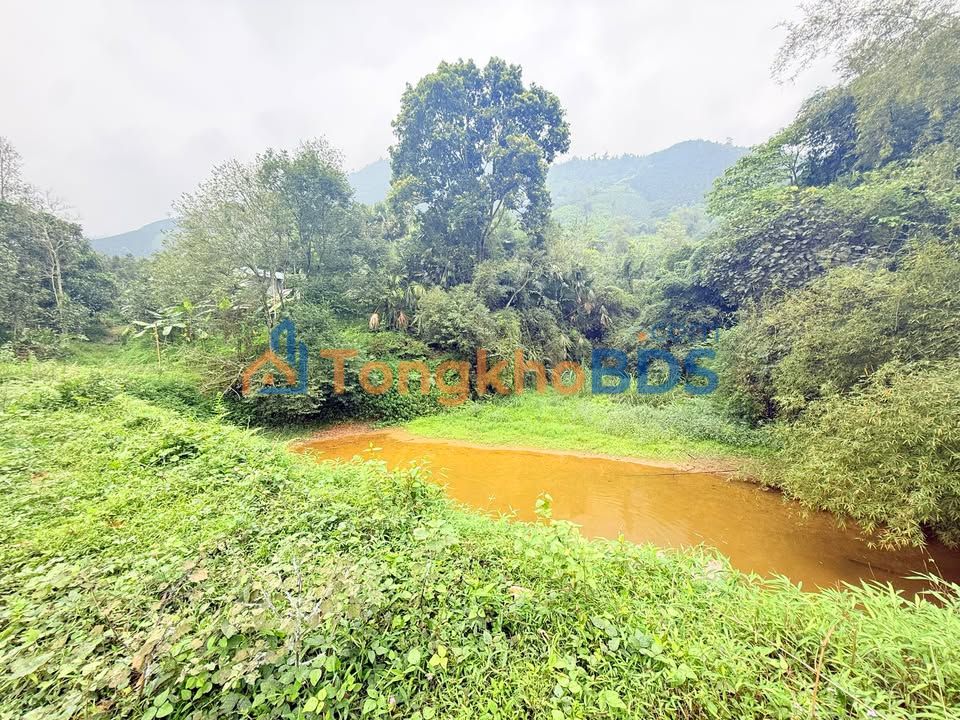 Đất Vĩnh Phúc 5000m² - Giá 1.95 Tỷ, Sẵn Ở Ngay!