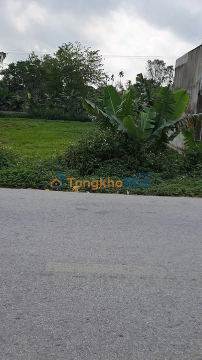 Đất Full Thổ Cư 137m² Trục 481b, Yên Khánh, Ninh Bình - Sổ Hồng Sẵn Sàng