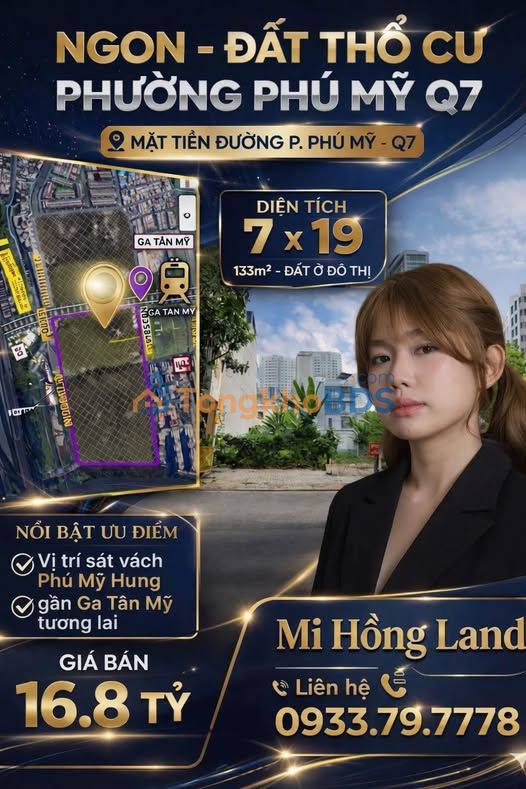Đất Vàng Phú Mỹ Q7 - 133m² - Sổ Hồng Riêng - Giá 16.8 Tỷ