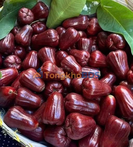 Đất Thổ Cư 435m² Mặt Tiền 15m Đường Nguyễn Văn Linh, Tân Biên, Tây Ninh - Giá Tốt