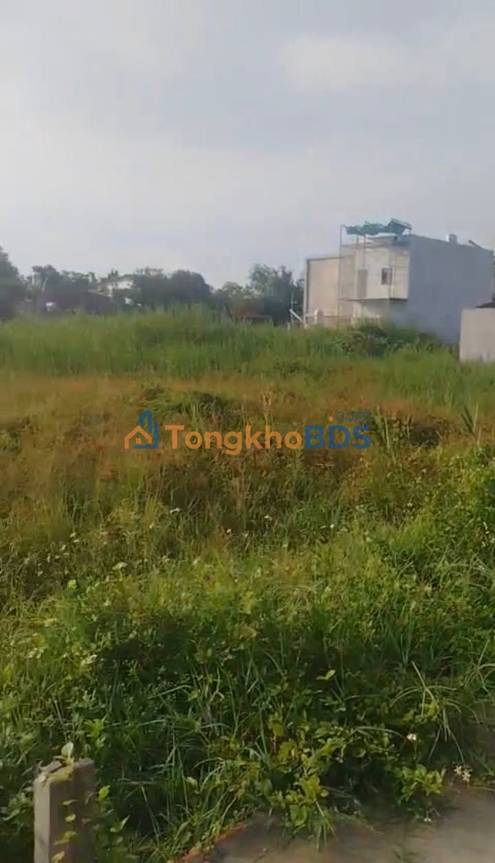 Bán Gấp Đất Củ Chi 95m² Thổ Cư 1.85 Tỷ - Sổ Hồng Hoàn Công