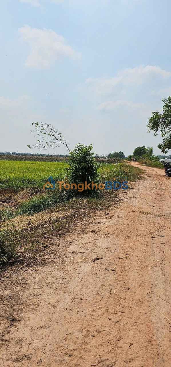 Bán Đất Lúa Củ Chi 4050m² Mặt Tiền Kênh Đức Lập - Giá Đầu Tư 3.6 Tỷ