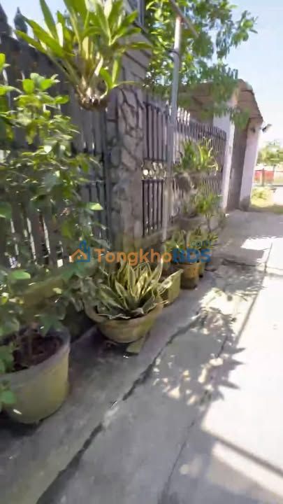 Đất nền Tân Phú Trung Củ Chi 300m² - Sổ Riêng, Giá 5.35 Tỷ - Đầu Tư Sinh Lời