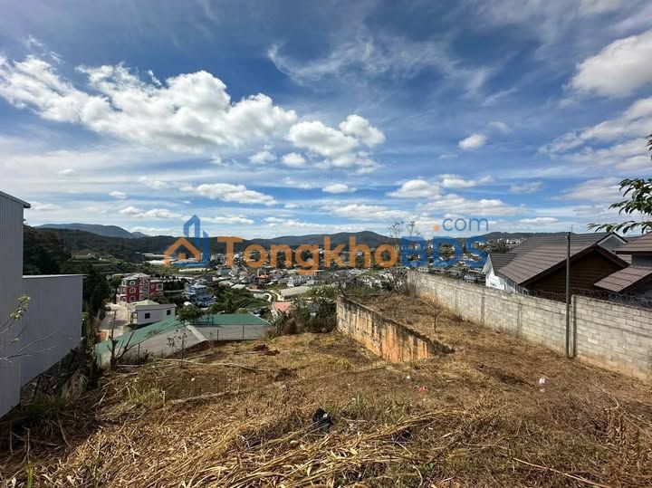 Đất Đà Lạt 500m² mặt tiền 18m - View đồi thông vĩnh viễn