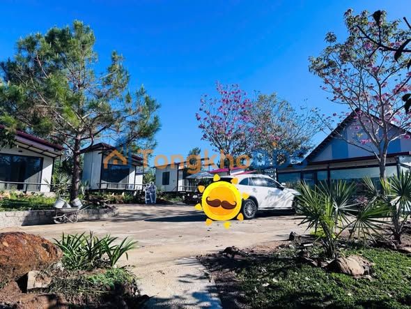 Farm Homestay Bảo Lộc 3017m² - Thu Nhập Đều Đặn, Gần Giáo Xứ Tân Hà