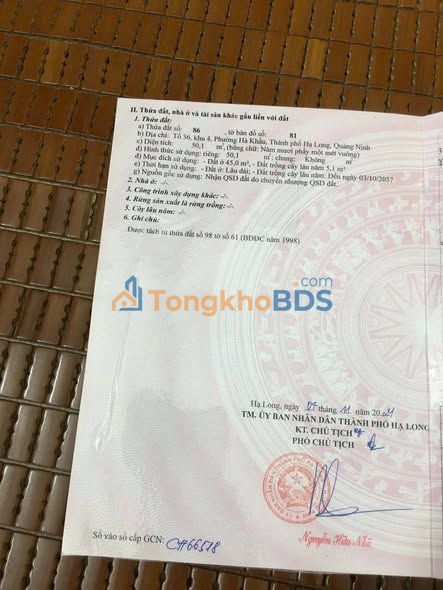 Bán Đất Ngõ 93 Đội Cấn 50m² - Ô Tô Tận Cửa, Sổ Đỏ Sẵn Sàng