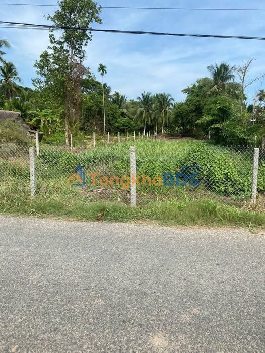 Bán Đất Vườn Hướng Đông 956m² Mặt Tiền Lộ Nhựa, Càng Long, Trà Vinh - Giá 900 Triệu