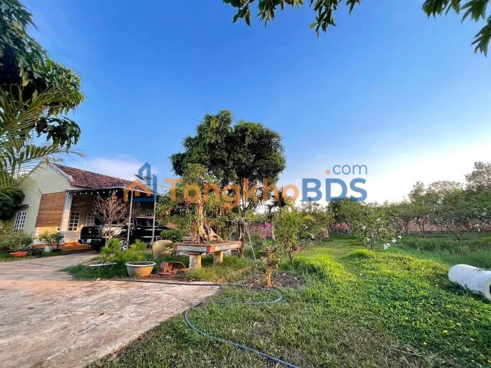 Nhà Vườn 3.3 Sào Hẻm Nguyễn Tuân, Pleiku - Tiềm Năng Nghỉ Dưỡng, Kinh Doanh