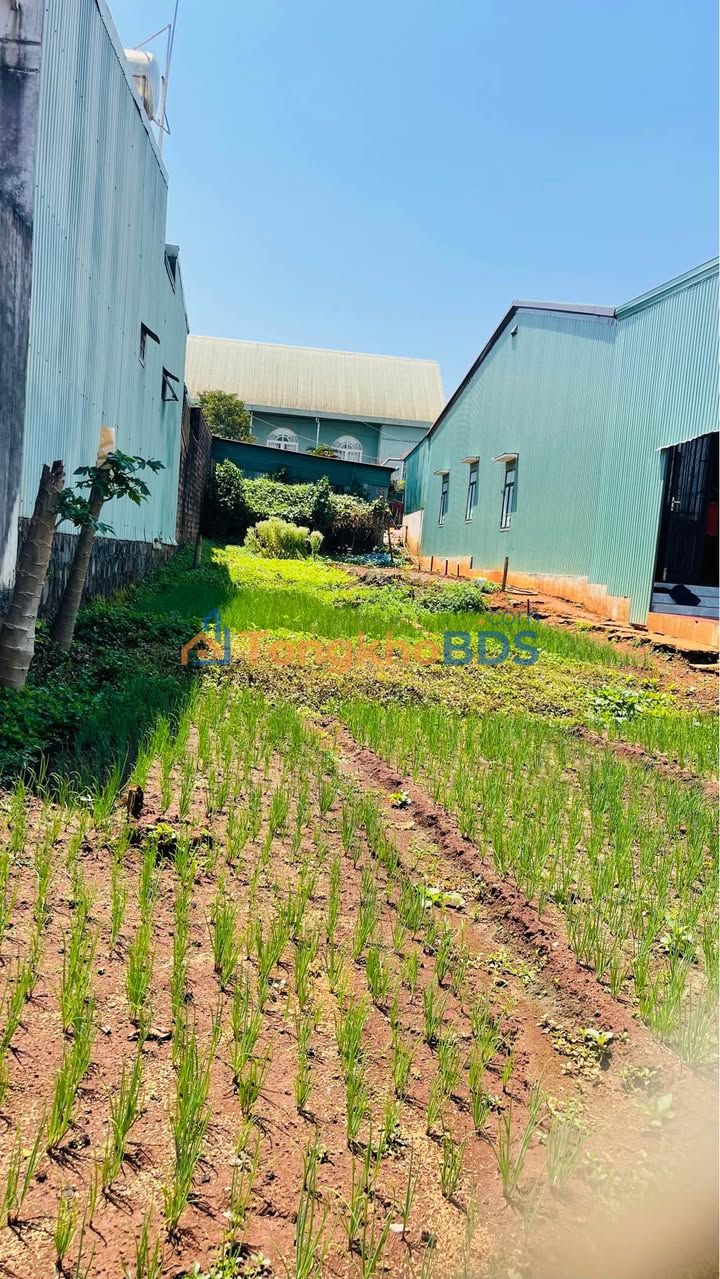 Nhà Mặt Tiền Đặng Trần Côn, Pleiku - 150m² Full Đất Ở, Giá 2 Tỷ