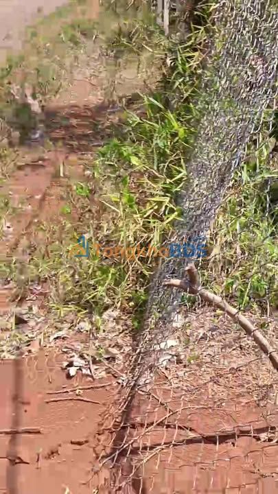 Farm 17.000m² Mặt Tiền Đường Nhựa Ia Dom, Gia Lai - Giá Tốt