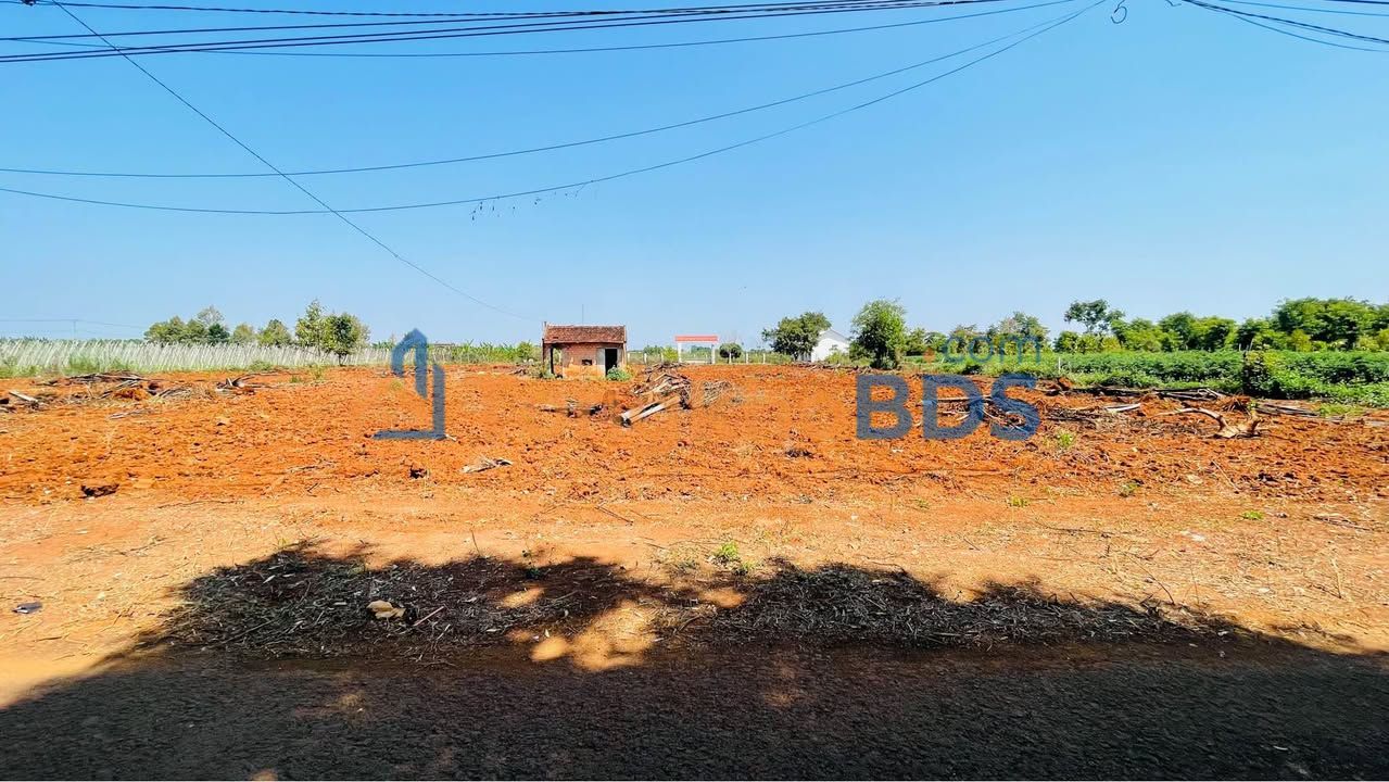 Đất Hẻm Trương Định, Pleiku 235m² - Sổ Đỏ Full Thổ Cư Giá Tốt