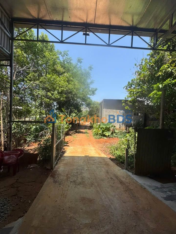 Bán Đất Thổ Cư 110m² Hẻm 24 Hoàng Văn Thái, Pleiku - Sổ Sẵn