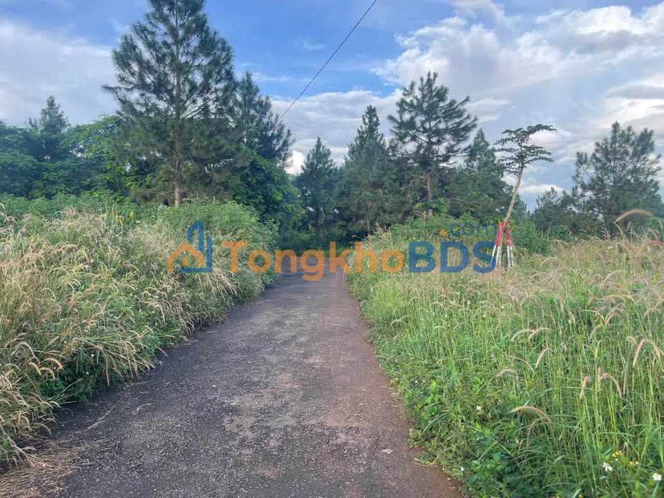 Đất Nền Mặt Tiền Lê Đức Thọ, Pleiku - 147m² - Giá 1.3 Tỷ