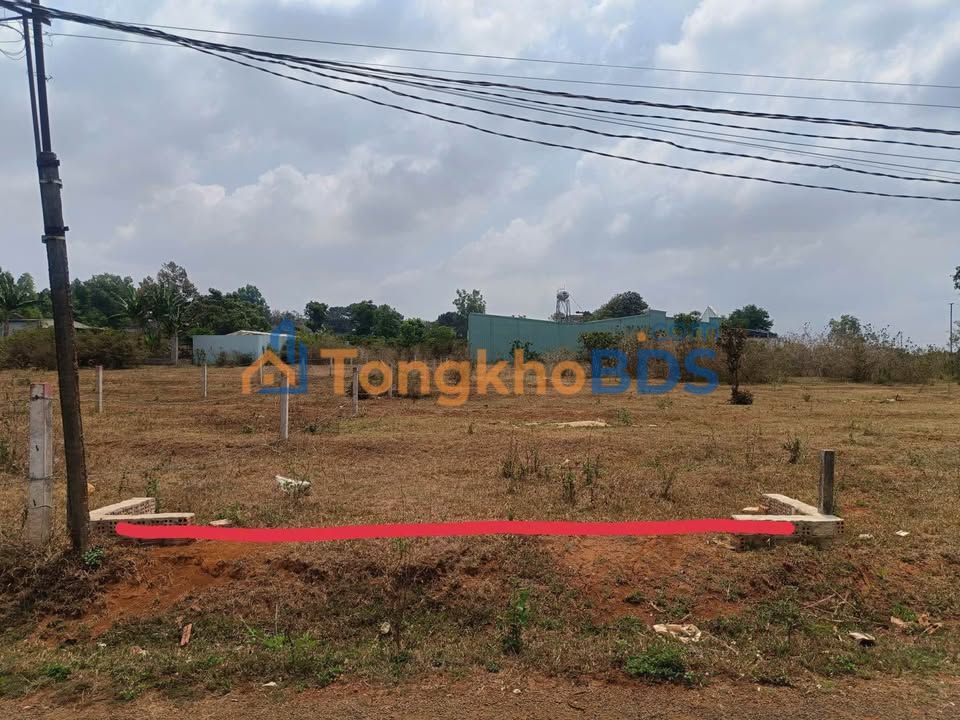 Đất Đồi Thông Pleiku 3120m² - Chính Chủ Giá 9xx Triệu