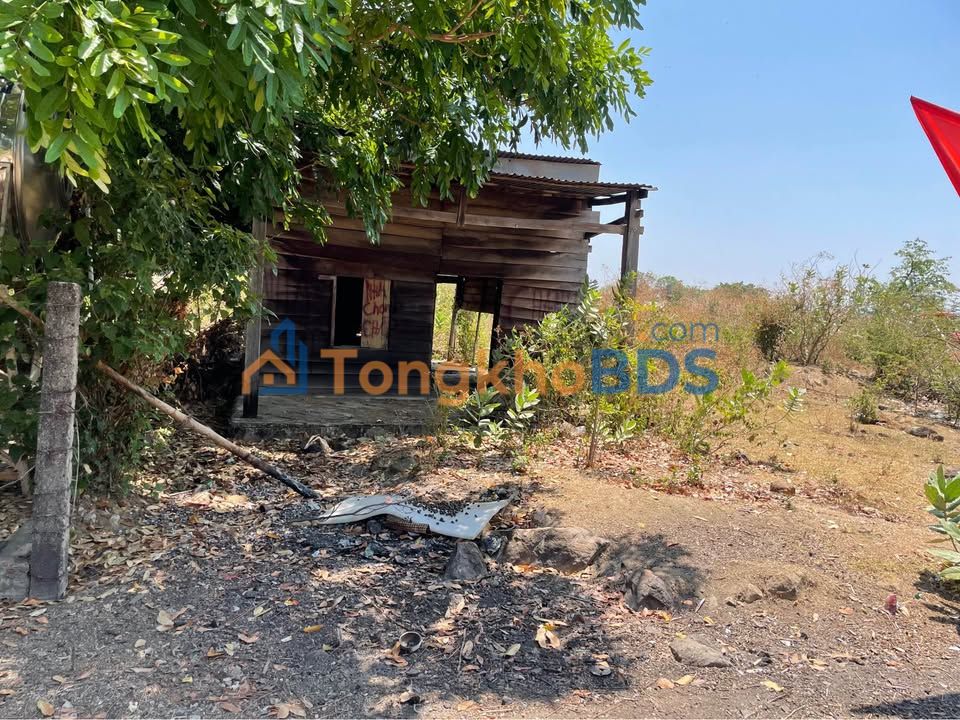 Bán Gấp Mặt Tiền Kinh Doanh 1125m² tại Chư Sê - Giá 350 Triệu