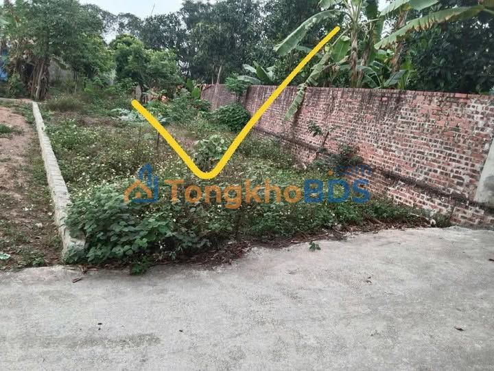 Đất Lạng Giang, Bắc Giang 100m² - Sổ Hồng Sang Tên, Giá Rẻ Như Cho!