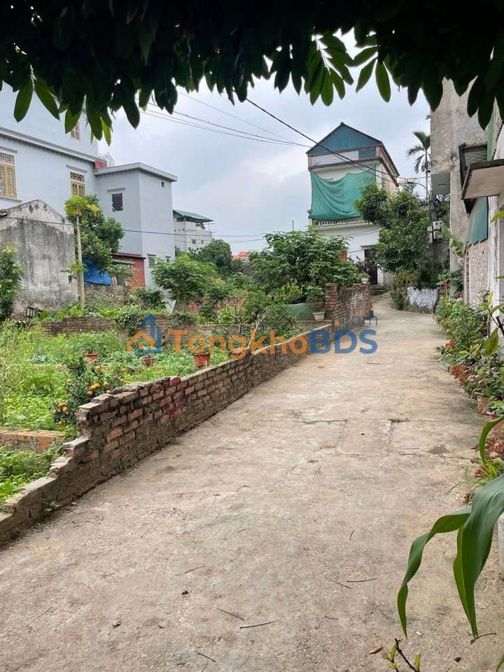 Bán Đất Long Biên 58.3m² - Ngõ Ô Tô Tải Vào Đất - Giá 5 Tỷ