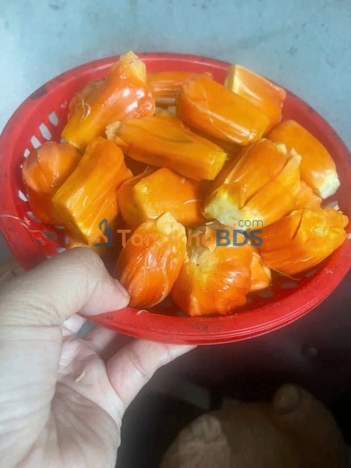 Đất Nền Mặt Tiền DH605 Bến Cát 370m² - Kinh Doanh Sầm Uất