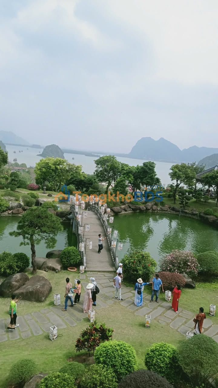 Bán Đất 56m² Trâu Quỳ, Gia Lâm - Có Sẵn Nhà C4, Ô Tô Vào Tận Nhà