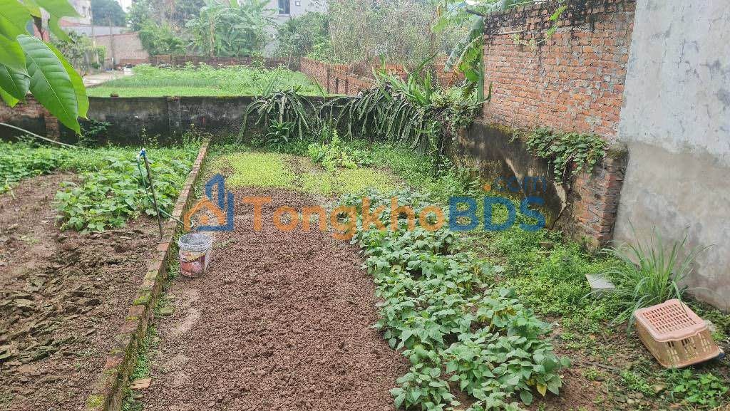 Đất nền Dương Đức Hiền, Ba Đình 50m² - Hơn 2 tỷ, gần hồ, tiềm năng tăng giá