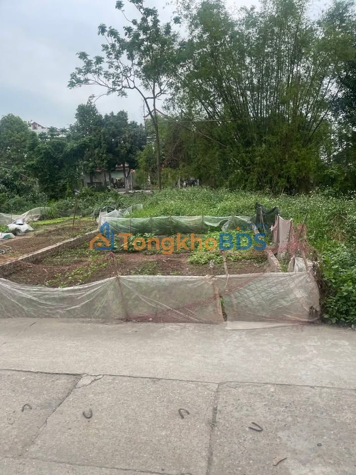 Đất Sổ Đỏ 109m² Hà Mãn, Thuận Thành - Giá 3 Tỷ, Xe Tải Thông Thoáng