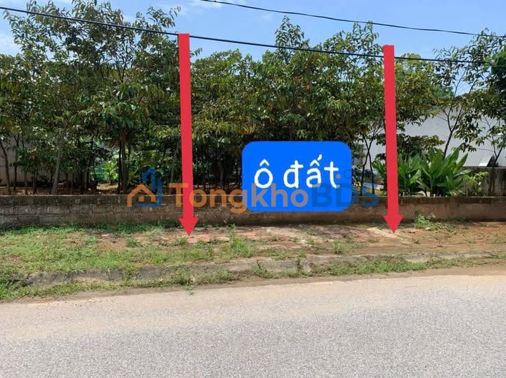 Đất DV 100m² Sát KCN Phú Hà, Phú Thọ - Kinh doanh/Đầu tư Sinh lời