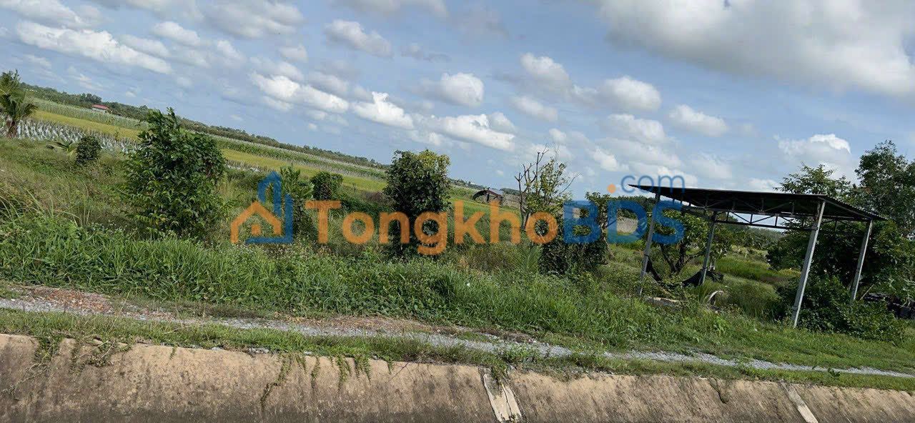 Đất Vườn 2000m² Thanh Phước Gò Dầu - Sổ Hồng Rõ Ràng