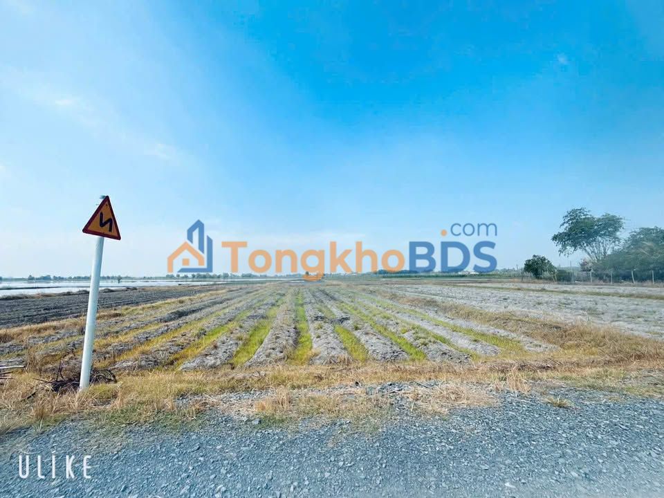 Đất Nền Gò Dầu Tây Ninh 705m² - Sổ Đỏ Thổ Cư, Xe Hơi Tới Tận Nơi