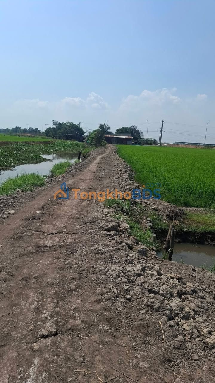 Đất Vườn Tây Ninh 5000m² Sổ Hồng Sẵn Sàng - Giá Đầu Tư 1 Tỷ