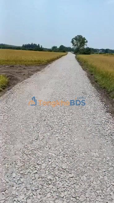 Bán Đất Vườn 3600m² Xã Bình Lương, Tây Ninh - Giá Tốt Đầu Tư