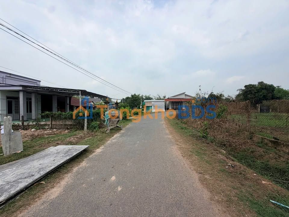 Đất thổ cư 165m² mặt tiền Đường Nhựa, Gò Dầu, Tây Ninh - Chỉ 590 triệu
