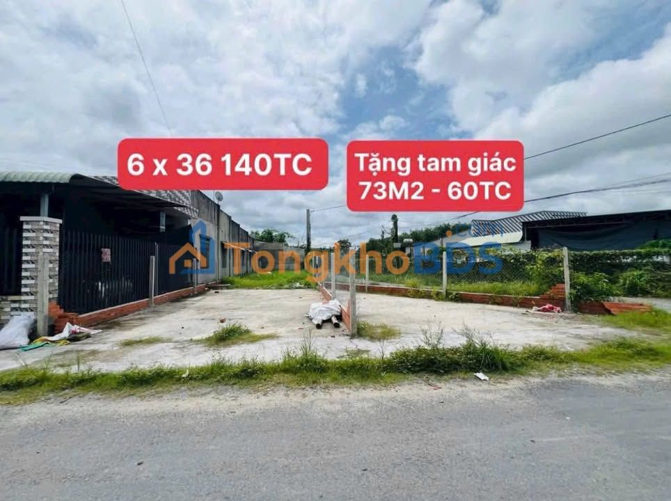 Đất Vàng Gò Dầu 216m² Tặng 73m² Sổ Đỏ - Cơ Hội Đầu Tư Sinh Lời