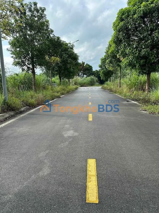 Đất nền Bạch Mai, Hà Nam 120m² - Hướng Nam, Sẵn Sổ Đỏ