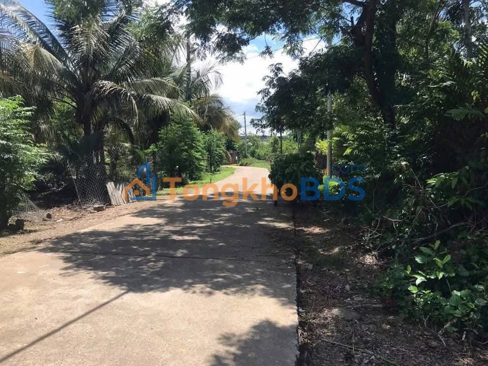 Bán Đất Vườn 2ha Đồng Nai - Sổ Đỏ Sẵn, Vườn Trái Cây Giá Chỉ 4 Tỷ