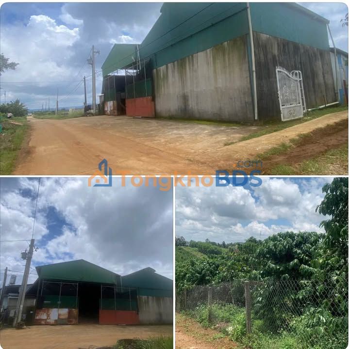 Kho Xưởng 1900m² Hẻm 435 Lý Thường Kiệt, Q10 - Giá Tốt 7.5 Tỷ