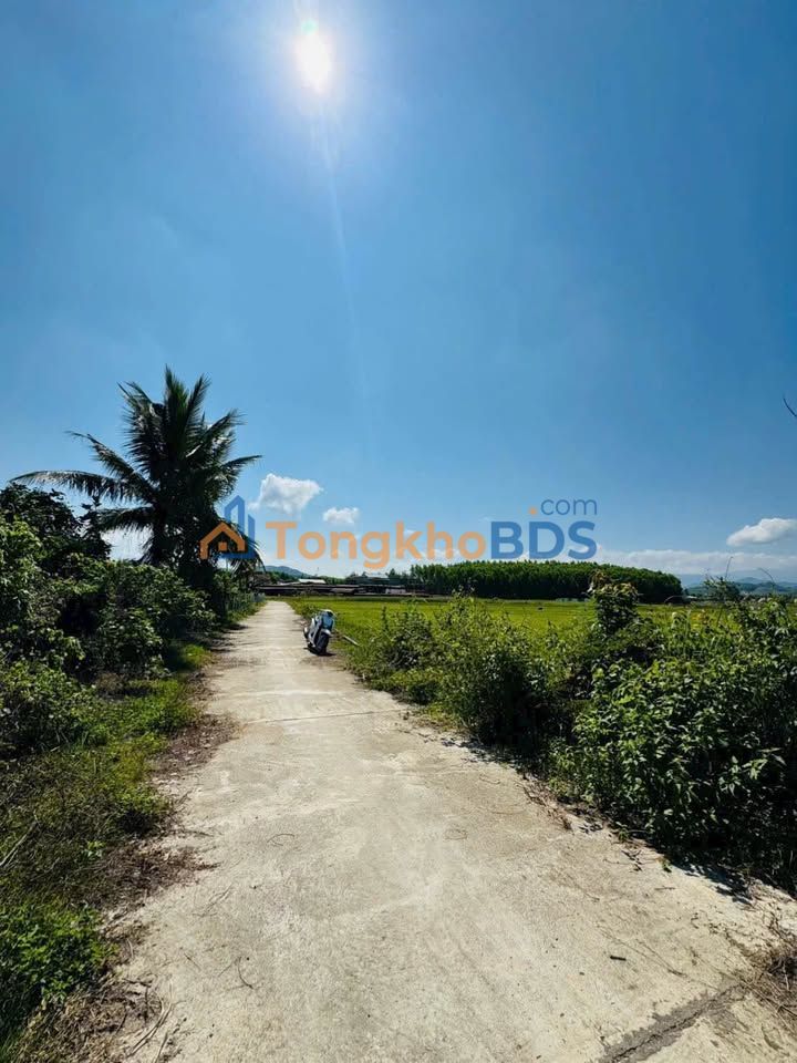 Đất nền Khánh Vĩnh 513m² - 2 mặt tiền, tiềm năng chia 3 lô