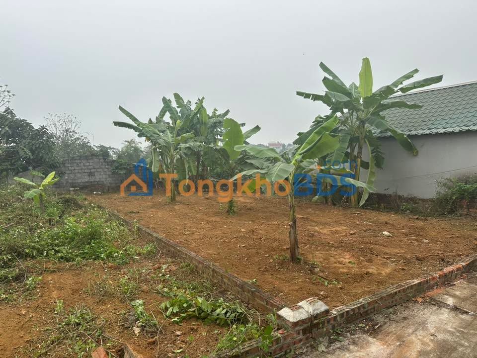 Đất thổ cư 116m² Việt Yên, Bắc Giang - Sổ đỏ sẵn sàng, giá đầu tư chỉ hơn 1 tỷ