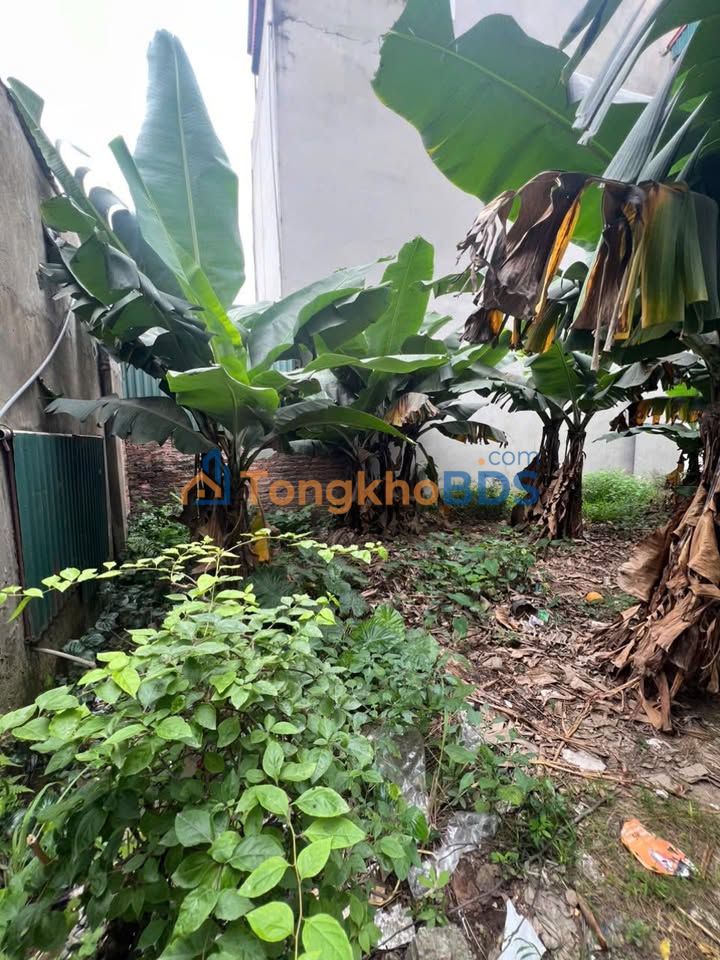 Bán Đất Hà Đông 37.5m² - Ngõ Ô Tô Gần QL6, Giá Tốt
