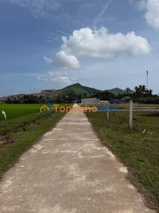 Đất Nền Vĩnh Phụng 2, Hoài Nhơn - 137m² Thổ Cư, View Ruộng Thoáng