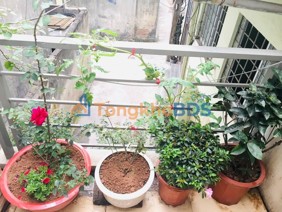 Bán Nhà Phố Kim Giang 61.3m² - Sẵn Sàng Cải Tạo, Vị Trí Đắc Địa