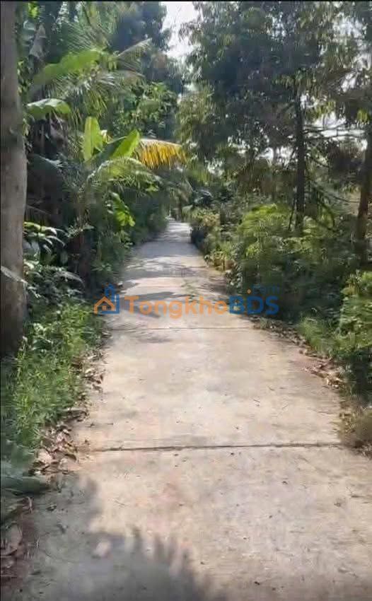 Bán Gấp Đất Nền Phường 3, Cai Lậy, Tiền Giang - 216m² Giá Chỉ 250 Triệu