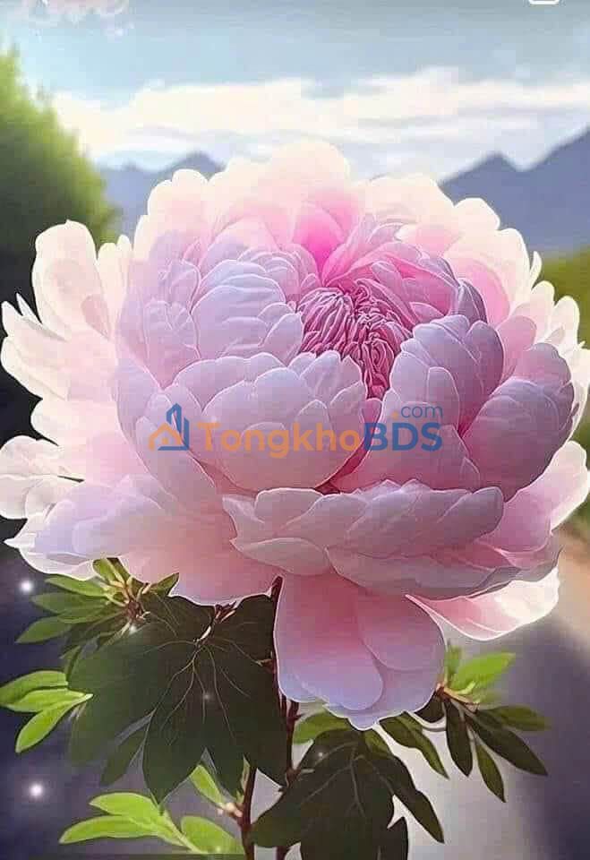 Nhà 1 Trệt 1 Lầu 56m² Củ Chi - Giá 1.6 Tỷ, Sẵn Sàng Dọn Vào Ở