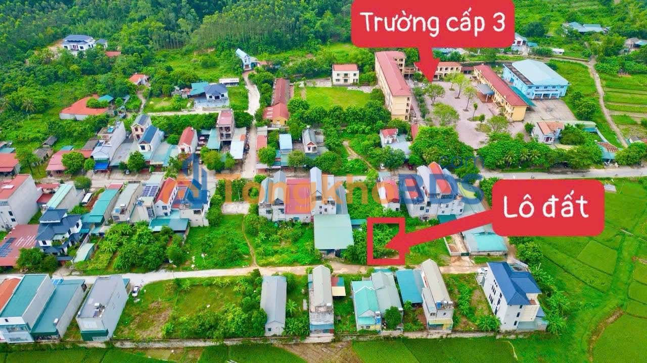 Đất nền Tam Đảo 136.5m² - Mặt tiền 7m, Full thổ cư, Giá 1.3 tỷ