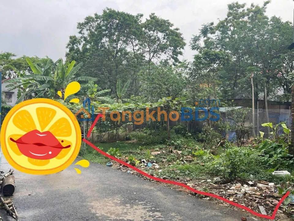 Đất Vĩnh Phúc: 140m² Làng Ý, Đại Đồng - Giá Tốt Đầu Tư