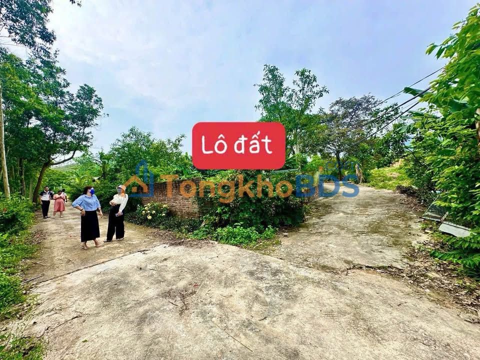 Đất Vườn Tam Đảo 600m² (300m² thổ cư) - Giá Đầu Tư 1.2 Tỷ