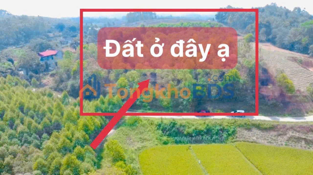 Bán đất rừng 5600m² Vĩnh Phúc - Mặt tiền 100m, ô tô thoải mái