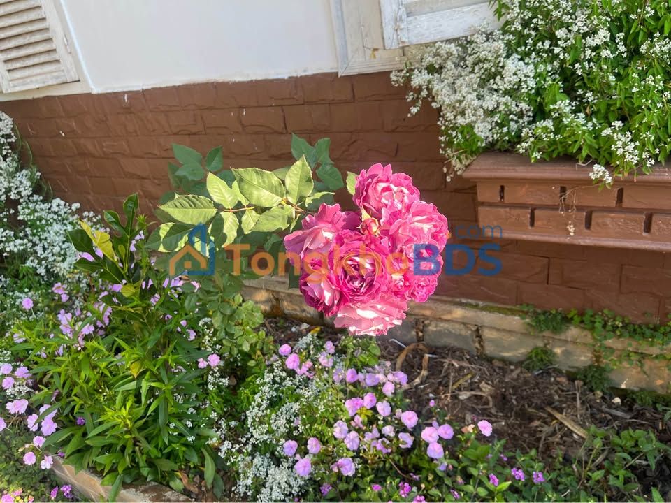 Mặt Tiền Kinh Doanh - Căn Hộ 29m² Ngay Chợ Sỉ Tân Bình, Bình Tân - 2.2 Tỷ TL