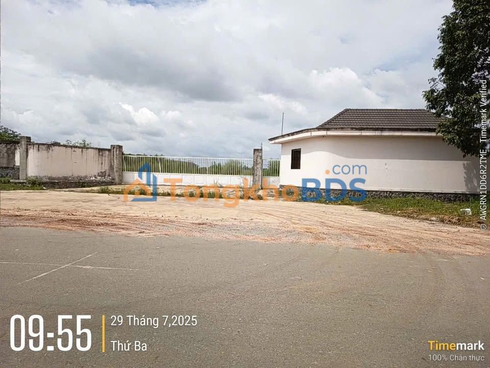 Bán Đất 11.000m² KCN Trảng Bàng - Sổ Hồng Toàn Diện, Mặt Tiền Đường Lớn