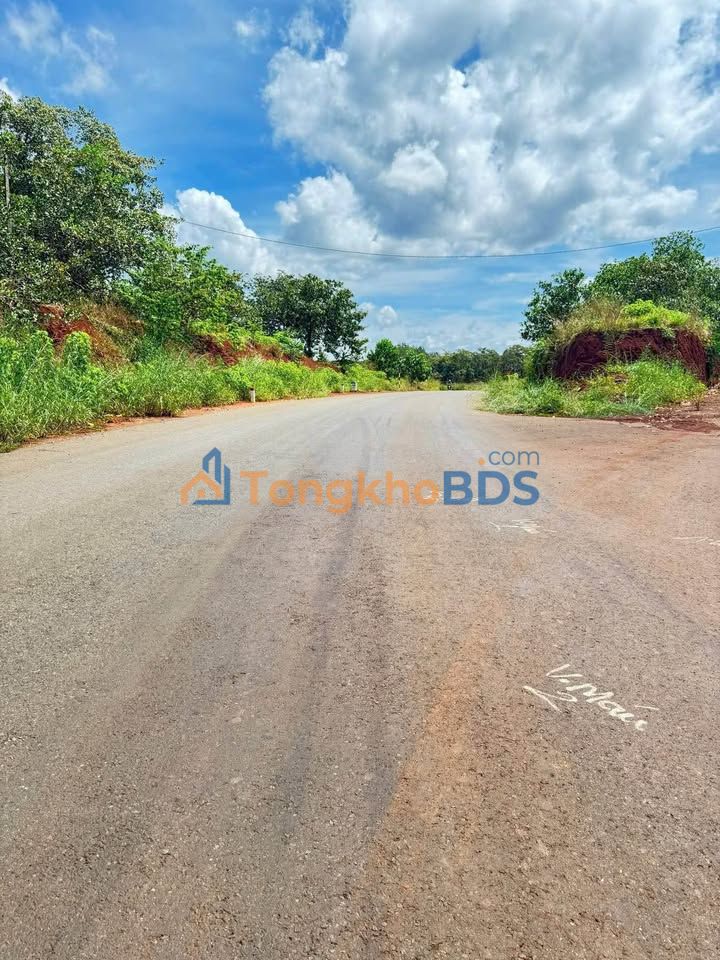 Bán Gấp 2 Lô Đất 305m² Mặt Tiền Nhựa Tân Phú - Giá 2xx Triệu/Lô