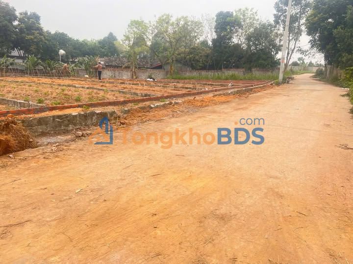 Bán đất Tam Dương Vĩnh Phúc 109m² - Sổ đỏ, gần KCN 8xx triệu